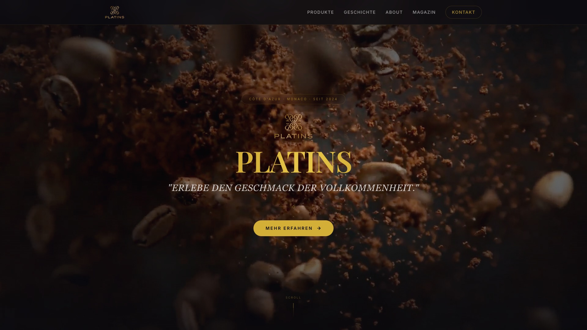 PLATINS Website